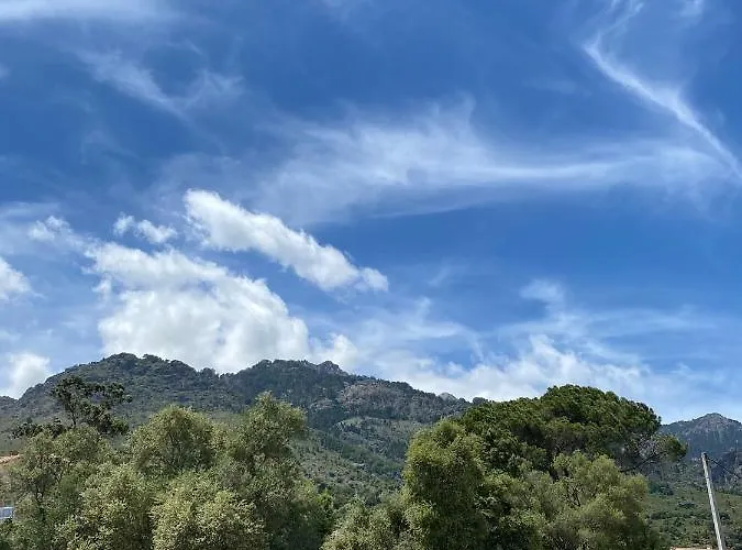 Panate Daire Corte (Corsica)